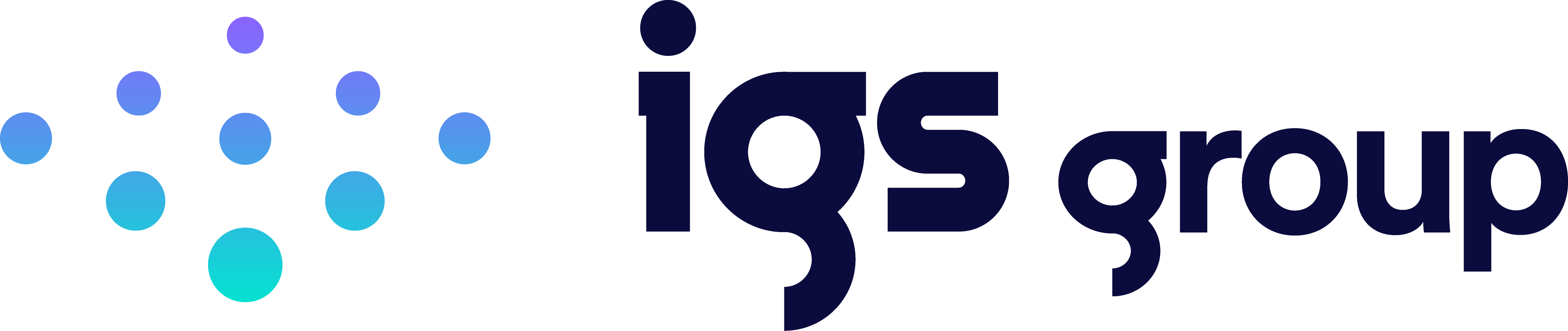IGS Group (IGS BIM Solutions)